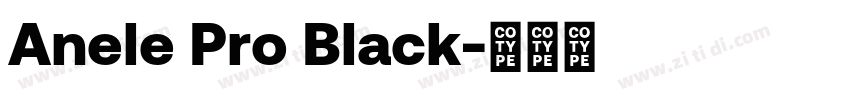Anele Pro Black字体转换